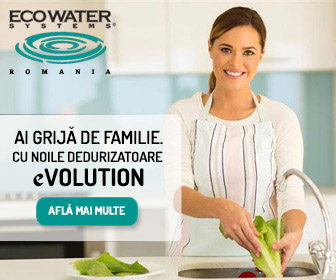 Banner Adwords 336X280 v2